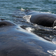 Image for article titled The best new tourist attractions on earth, according to Lonely Planet